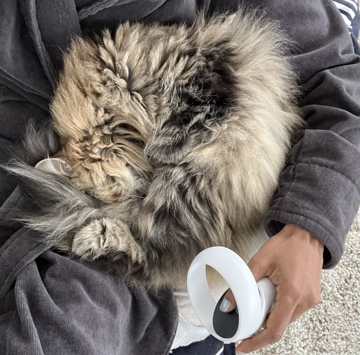 Playing #Demeo with the required Cana accessory. 

<a href="/DemeoGame/">Demeo</a> <a href="/MetaQuestVR/">Meta Quest</a>