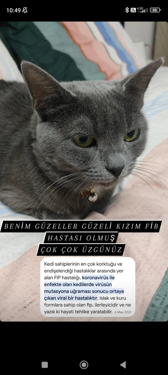 İLKNUR YAZICI DURAN (@muhasebecinizz) on Twitter photo 