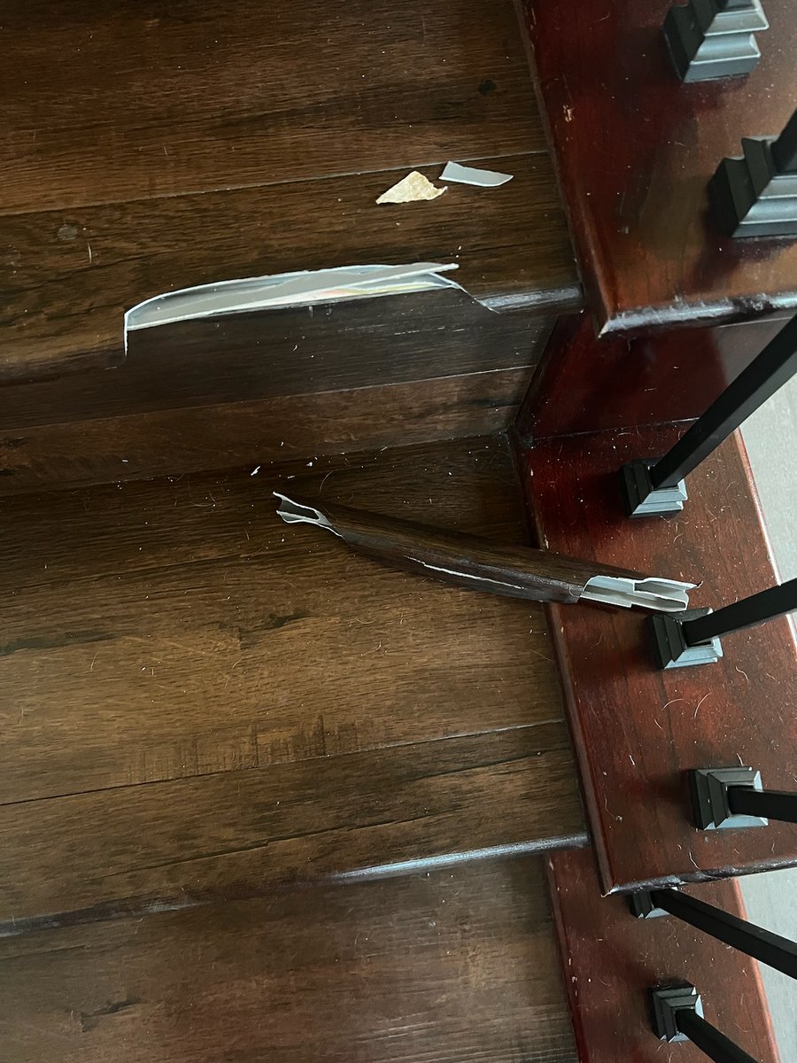 ReloTiger's tweet image. Hidden Home Danger?!?! - mailchi.mp/908c5f0054ab/h…
What&apos;s the number one cause of homeowner death?
Don&apos;t fall victim to this mishap!
Tiger &amp;amp; Team
CA DRE# 01407953
925-209-9411
Tiger@Reloworks.com

#tiger #realestate #tigertalks #saystiger #reloworks