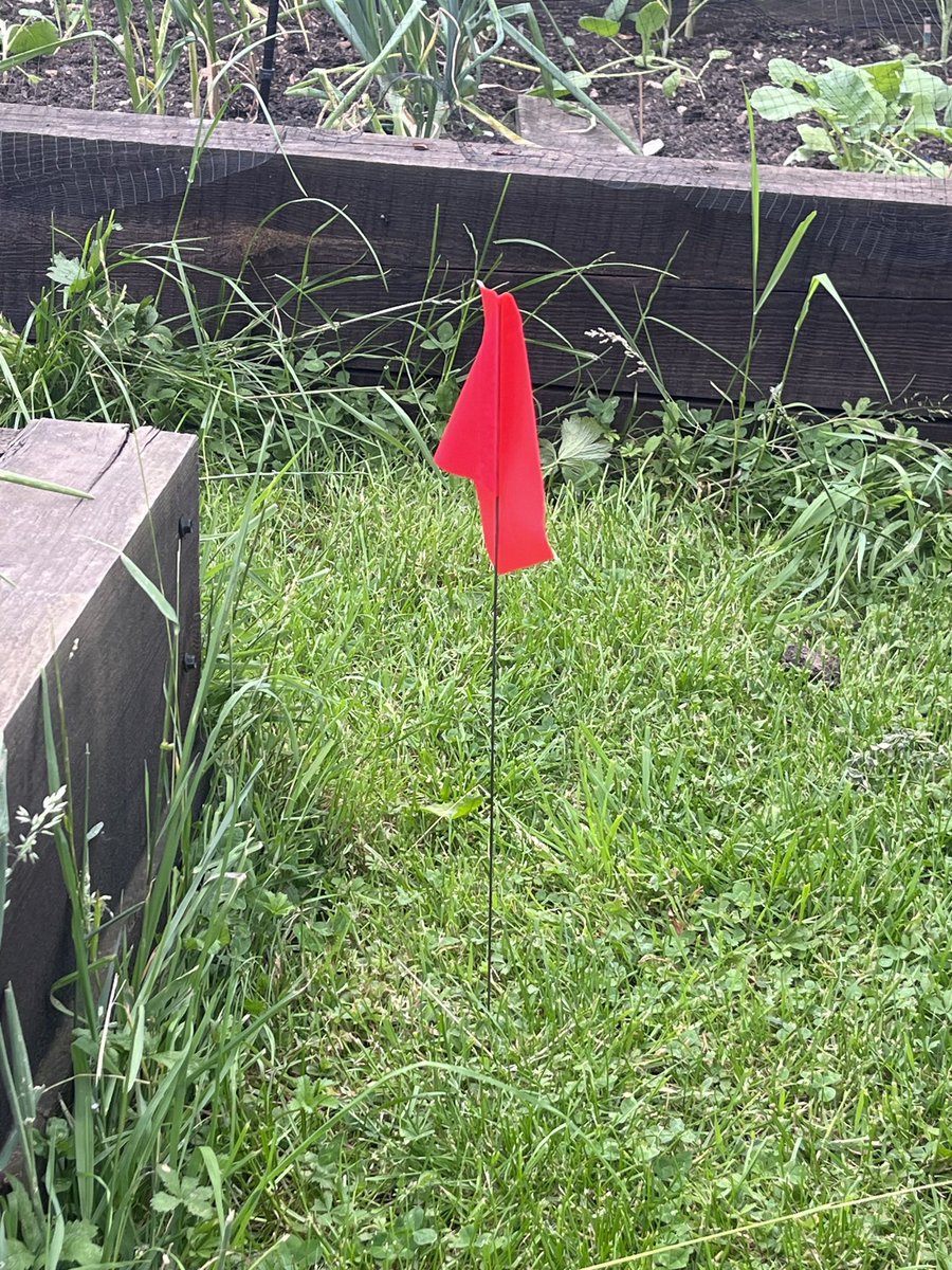 Mike Drew tweet media