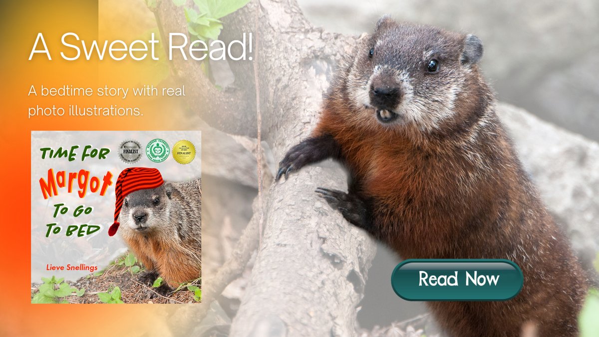 fredsdiary1981's tweet photo. https://t.co/AQAUMiDDTd 
If you can still hear animals talk, then this children’s #bedtimestory is for you! Thanks to her friends, Margot the groundhog’s can go to bed with a smile on her face.
https://t.co/aWlMXEgMTj
@SnellingsLieve #CoPromos #ChildrensBooks #bookshelf #kidlit