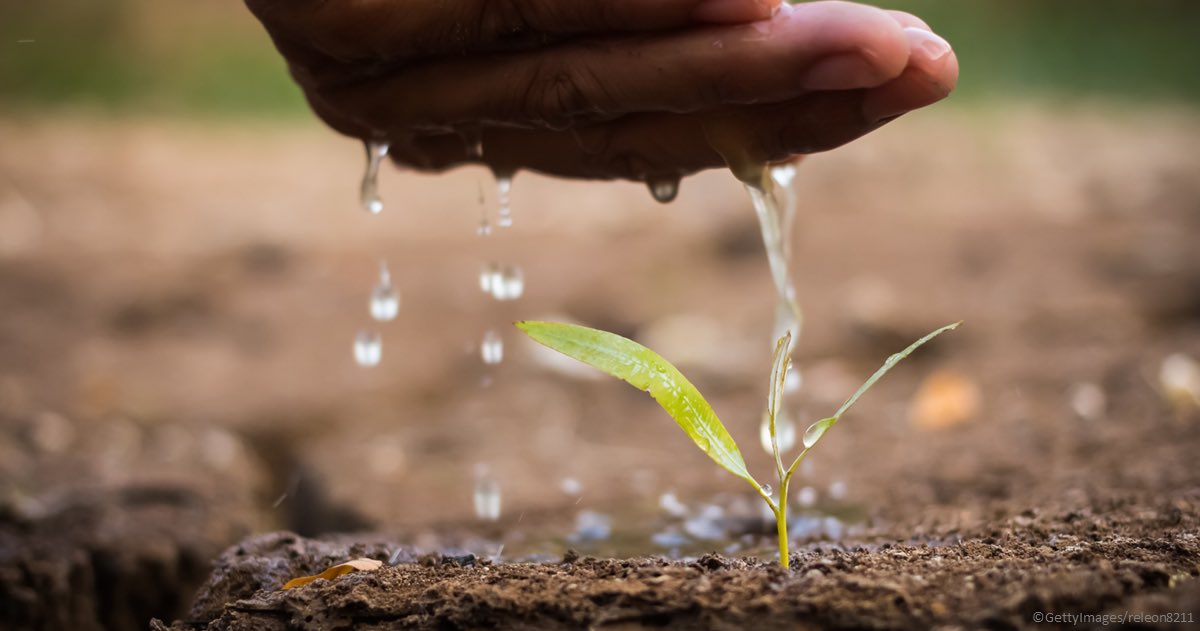 EU is very drought prone which effects our economy and wellbeing 

To fight this, we need
🌱 Healthy soils
🏞️ Restored nature
🆕 Water solutions
💧 Water resilience

On #DesertificationAndDroughtDay, discover the 🇪🇺 commitments for #WaterAction 👉europa.eu/!8XHVXK