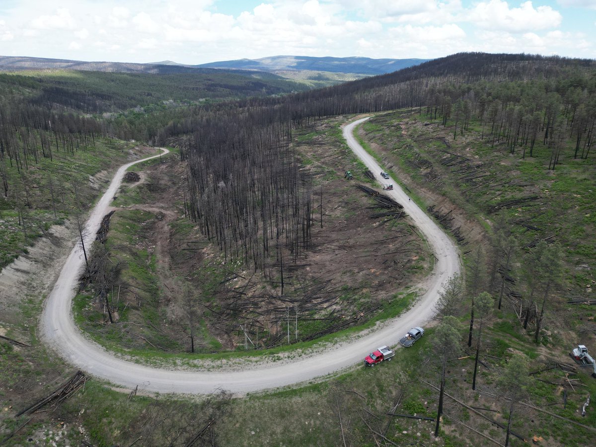 ForestryTop's tweet photo. #wildfire rehab work #hazardtree removal. https://t.co/1Dw4quqMyI