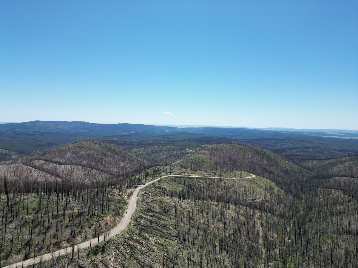 ForestryTop's tweet photo. #wildfire rehab work #hazardtree removal. https://t.co/1Dw4quqMyI