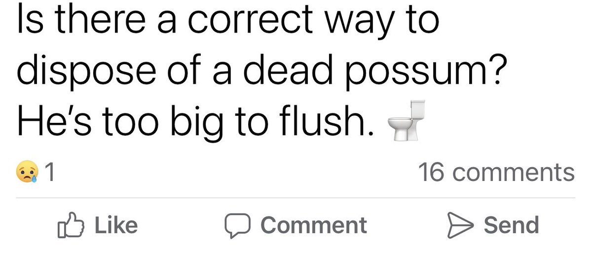 Posted on my neighborhood Facebook group.