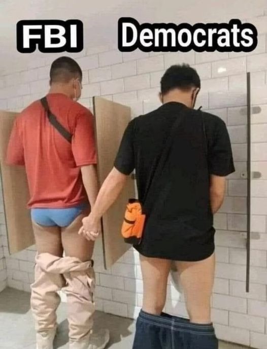 #FBI #Democrats #American #humour #jokes #meme #dailymemes #satire #HaveALaugh #darkhumor #YouveGotToLaugh #GoodForTheSoul