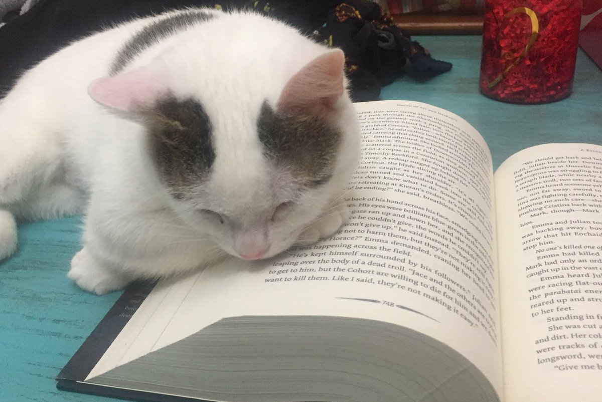 Outlander0711's tweet photo. @hankgreen Hope this makes you smile. https://t.co/mwtGmfVhyj