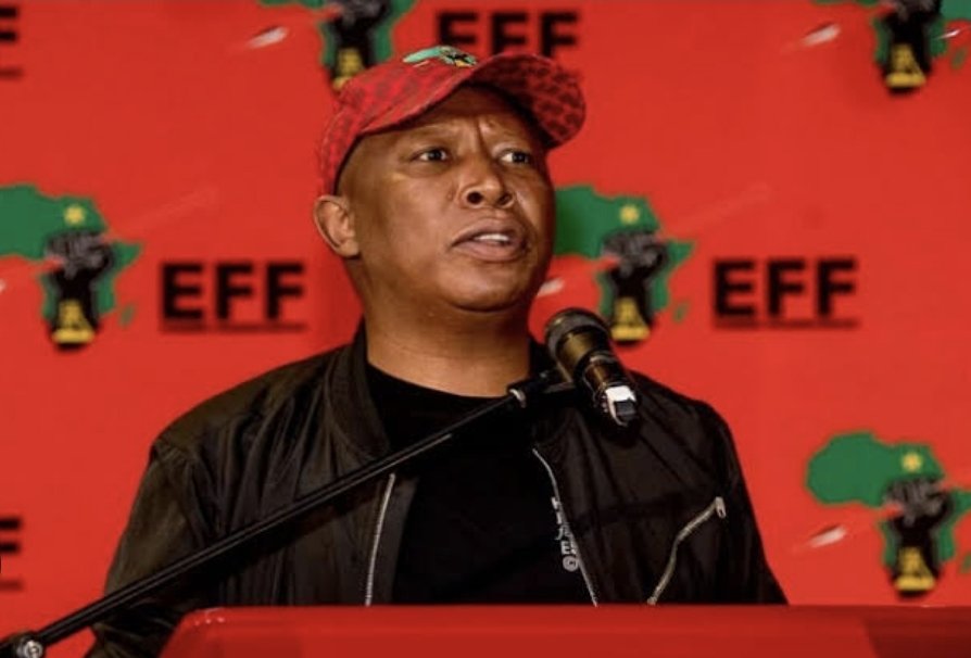 Mzwanele Manyi MP tweet media