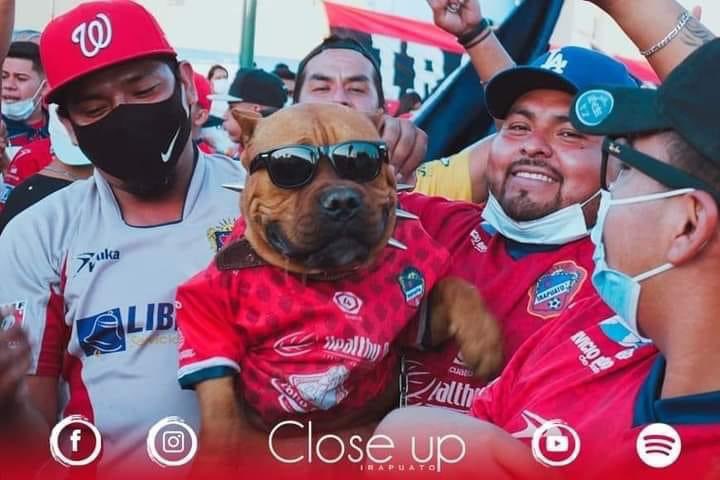 MexicoMagico's tweet photo. Sálganse del tuiter quiero estar solo 😔😭 https://t.co/Jqa0Schm6k