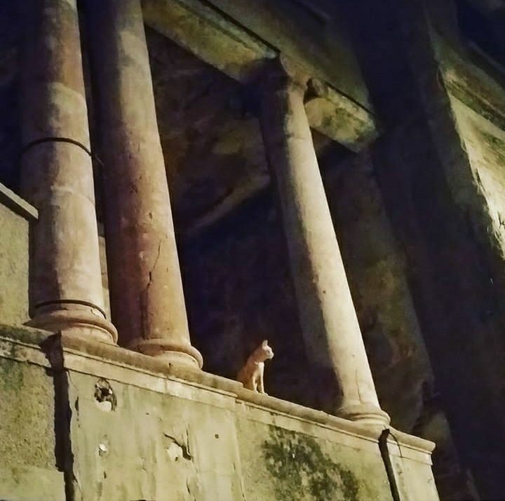 Terketmedi sevdan bizi.Ne sen bizi,ne biz seni...güzel Edremit  #EnGüzelEdremit