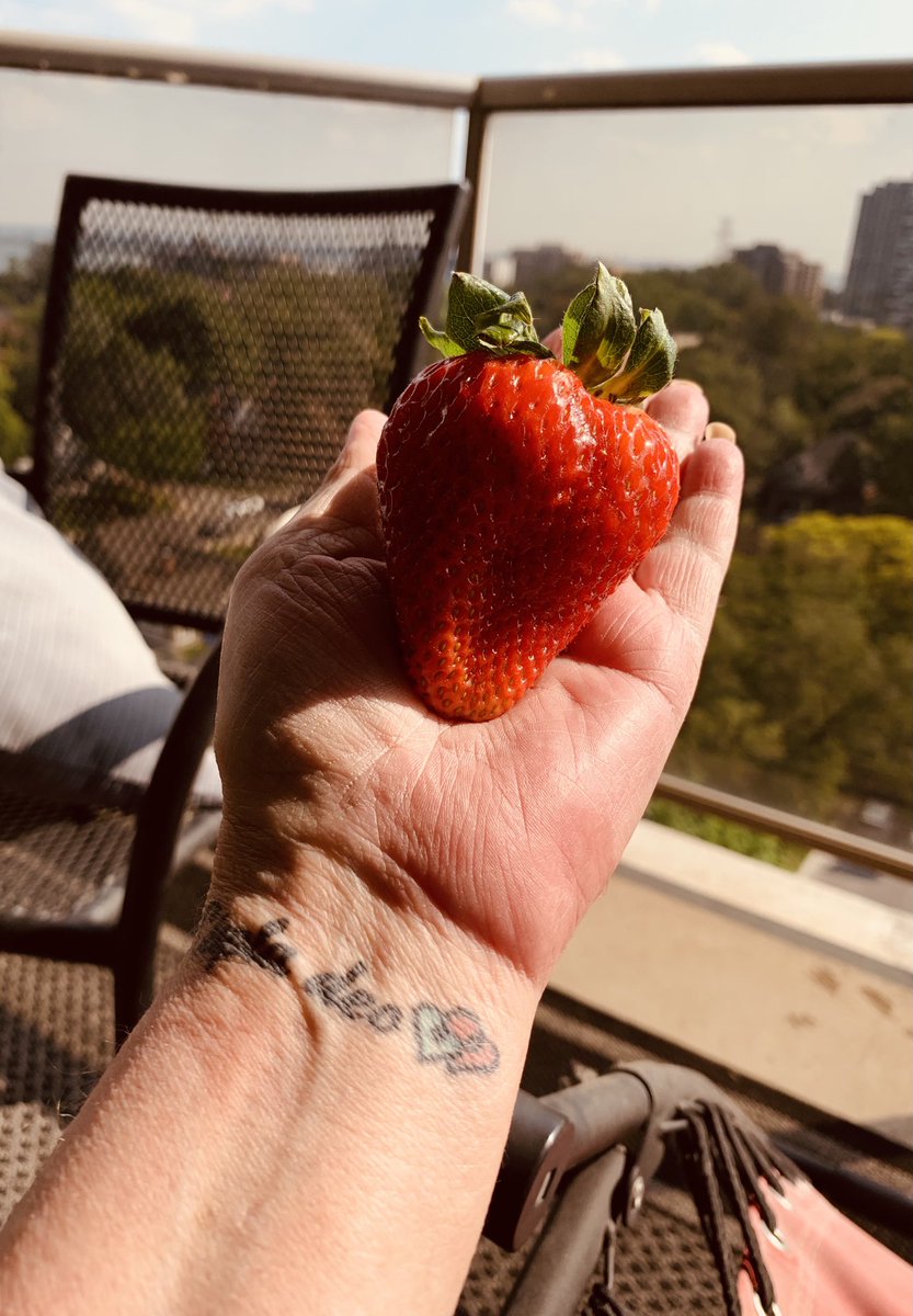 tmlayne's tweet photo. As big as my hand and delicious #stawberry https://t.co/ZXmop4C2I5