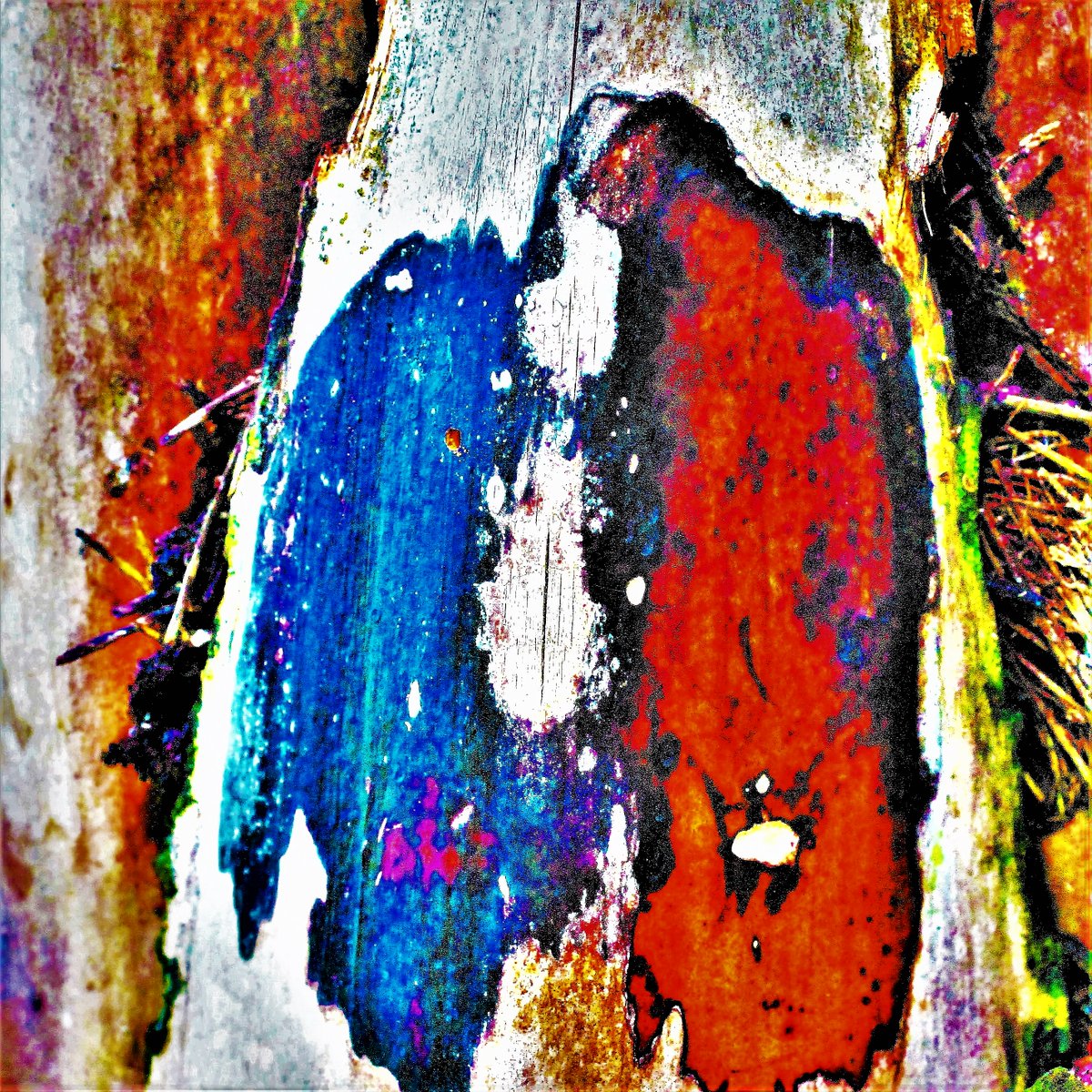 sicavalcanti70's tweet photo. Exploring the magic of nature: tree trunks that transform into enchanting creatures. Discover these figures and bring them to life with your own imagination.#TezosNFTs #CardanoCommunity #tezoscollectors #web3 #NFTCommunity #web3community #web3.#MintableNFTs #MintableCommunity https://t.co/soFQ5oXFKT