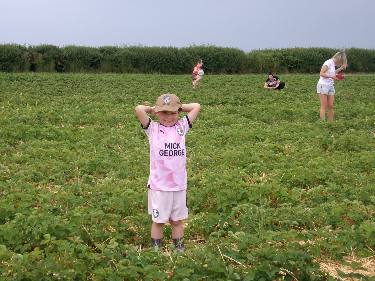 We all really enjoyed strawberry picking today.
