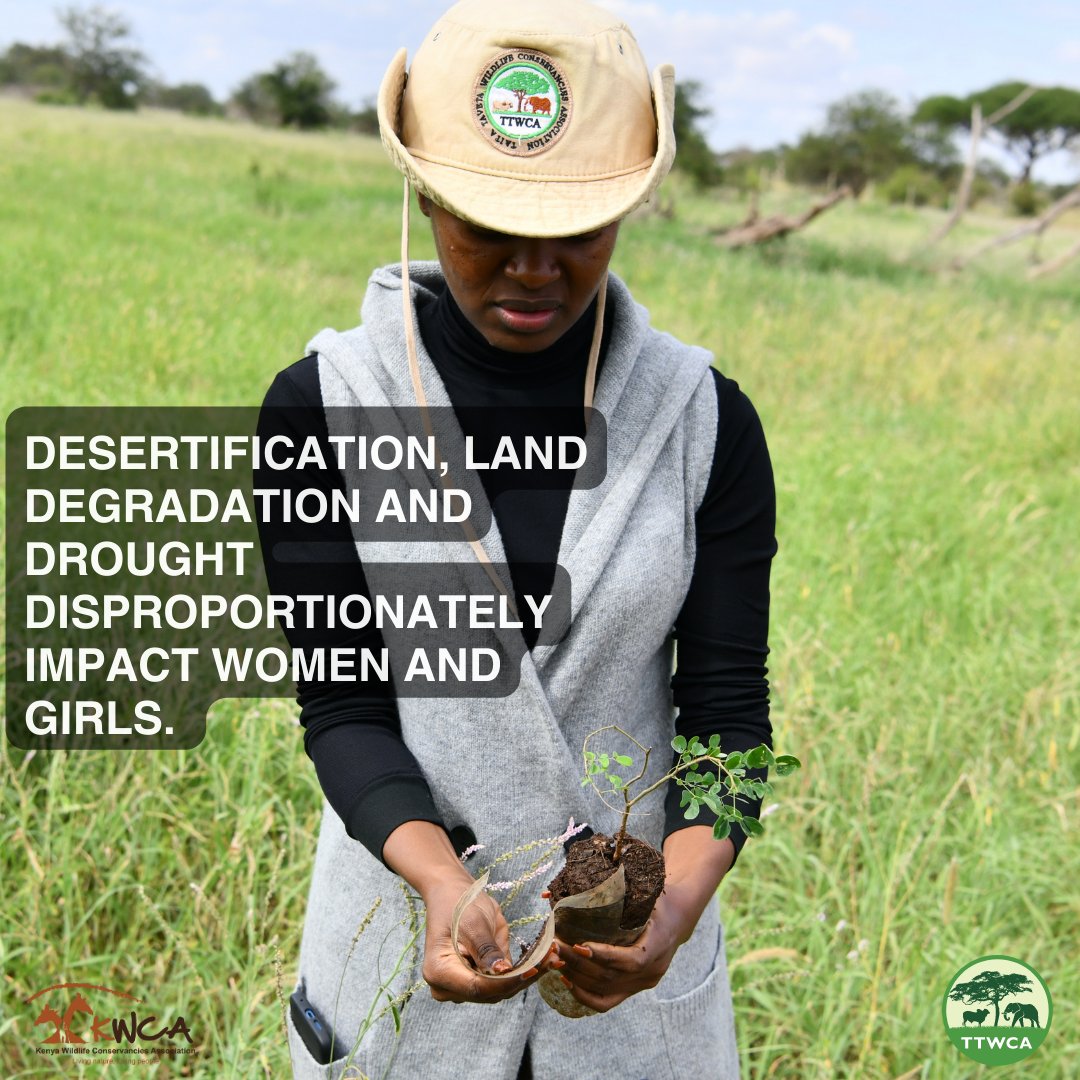 On this #DesertificationandDroughtDay, we must acknowledge the crucial role women play in land restoration, and the need to continually empower them to protect our planet to ensure a sustainable future.  #HerLandHerRight #HerLand 
@UNCCD @UNCCDYouth