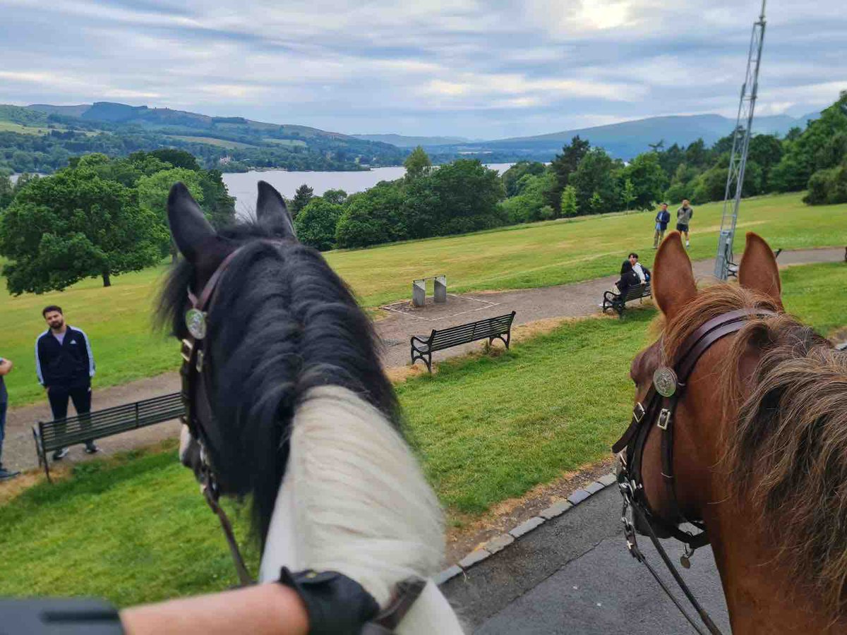 PSOSHorses's tweet image. Today we had PH Dyce and Montrose (pictured) patrolling Balloch Country Park . Also out and about were PH Inverness and Strathaven in Dunoon at a Community event and PH Elgin and Cupar at Armed Forces Event in Hamilton.  #BusyWeekend #SummerPatrols ☀️🍦