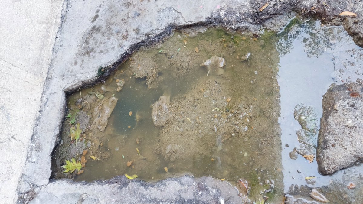 cesarlopez79's tweet photo. @Cristina_Diaz_S @municipiodegpe  Solicitamos su ayuda ya que en la calle Cuernavaca tenemos una fuga de aguas negras , la peste es muy fuerte y están apareciendo gusanos https://t.co/m9rpxQql7t