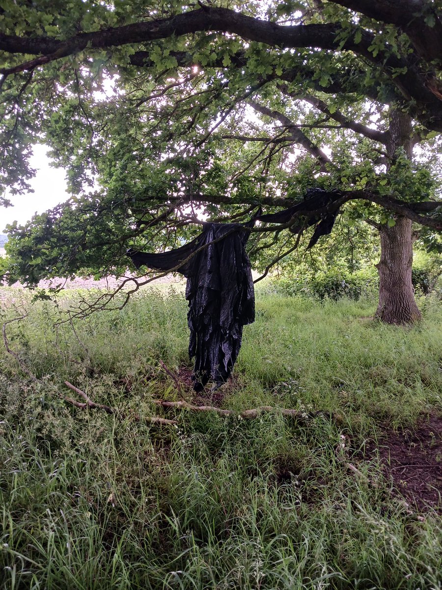 Out sett surveying today. This scared the crap out of me.

#woods 
#walk1000miles 
#dementor