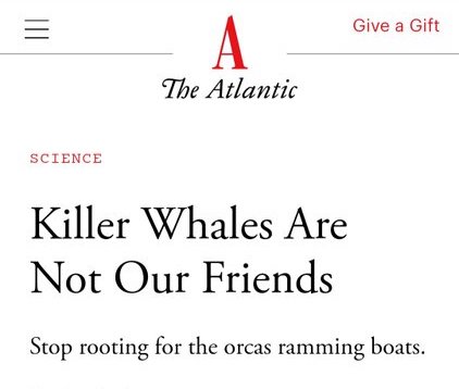 I like the implication that our cheering for the orcas is helping them, making us complicit.