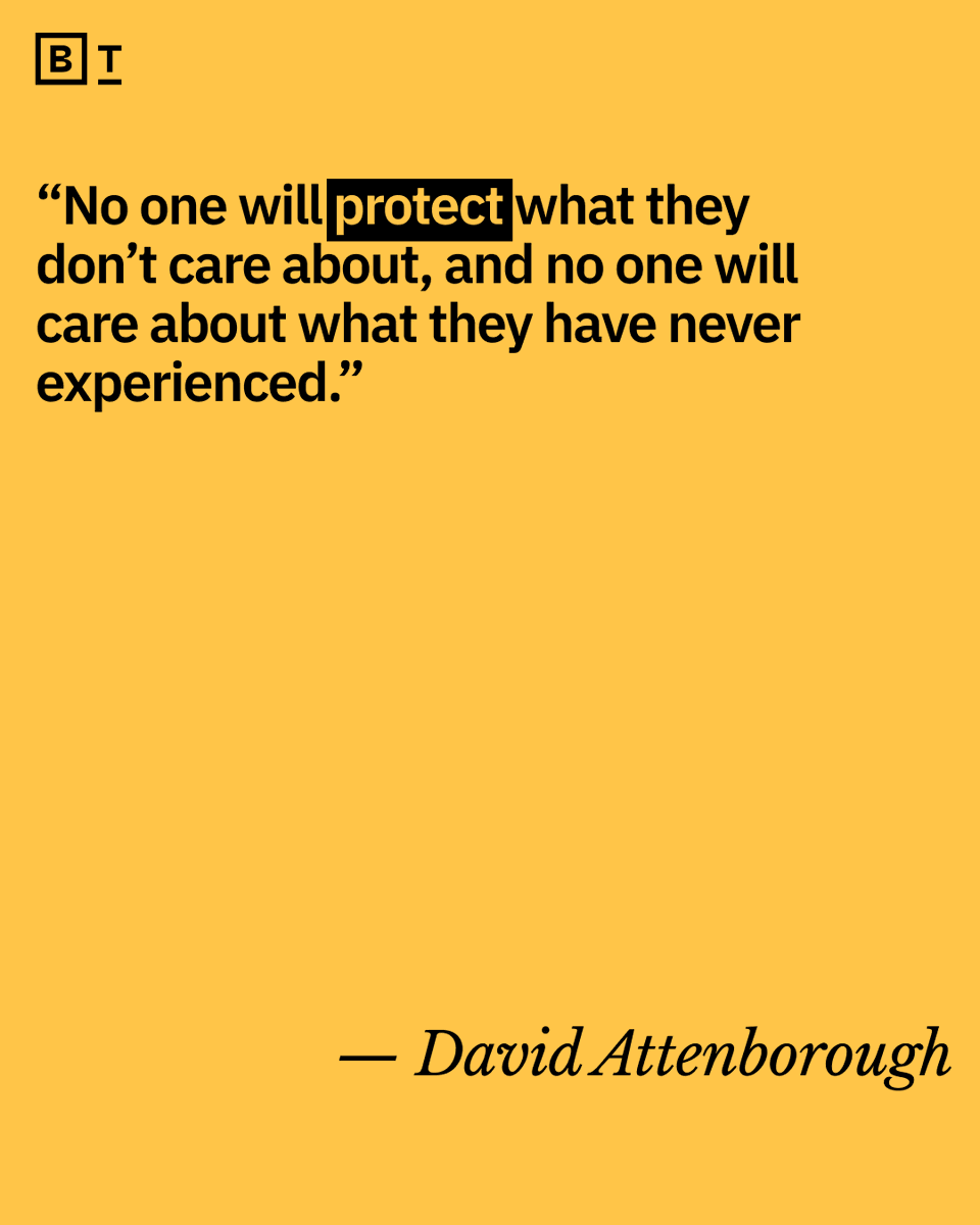 bigthink's tweet photo. At 97 years old, Sir David Attenborough is still narrating nature series and documentaries. For decades he has been helping to educate the world about animals and places that most of us will never see, but that we should all be working harder to protect. https://t.co/RXamwE1h8b https://t.co/BJFURnfxQV