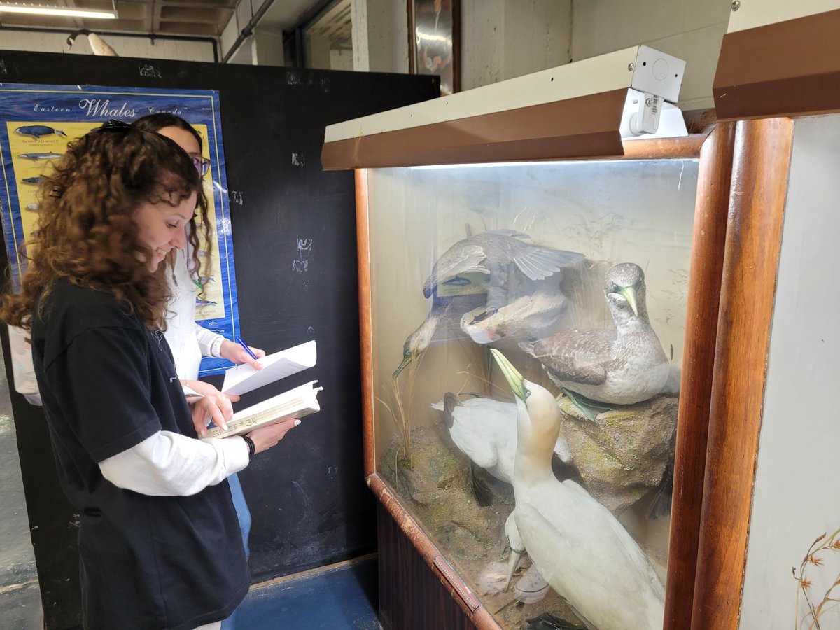 Dr. Sarah Gutowsky tweet media