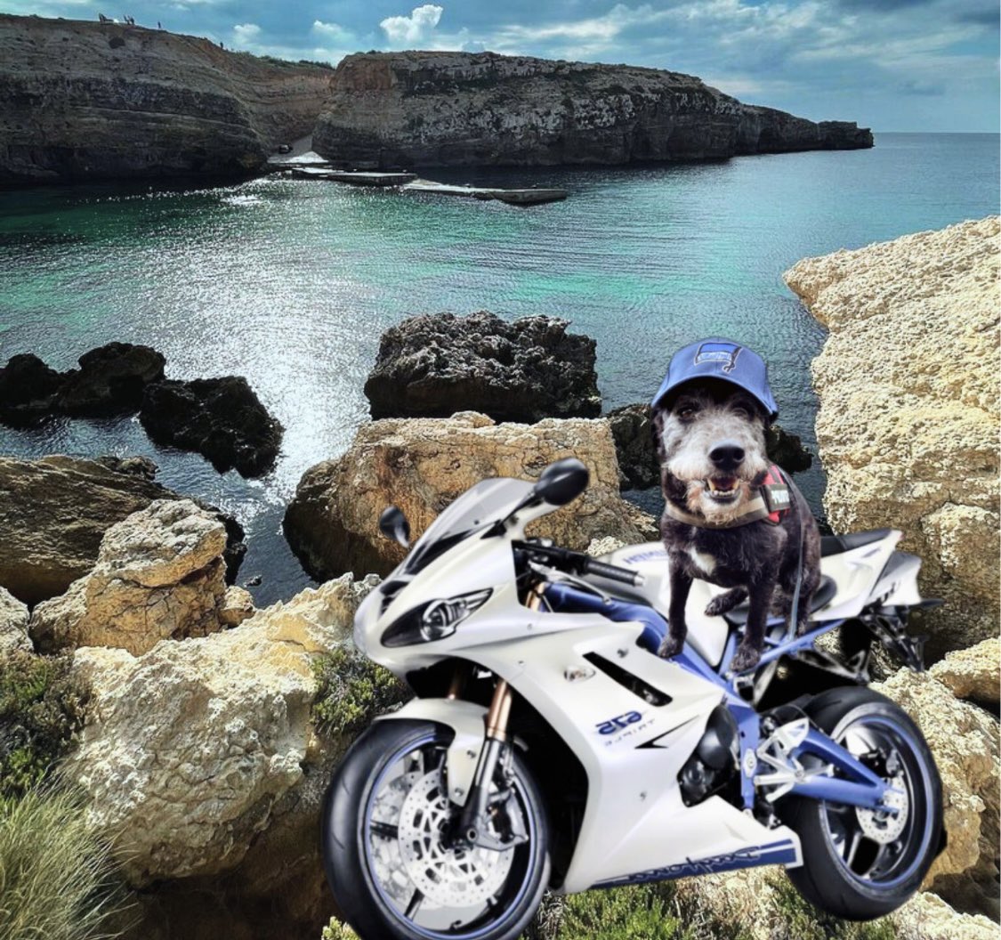 Beachtime! #critterriders #theruffriderz