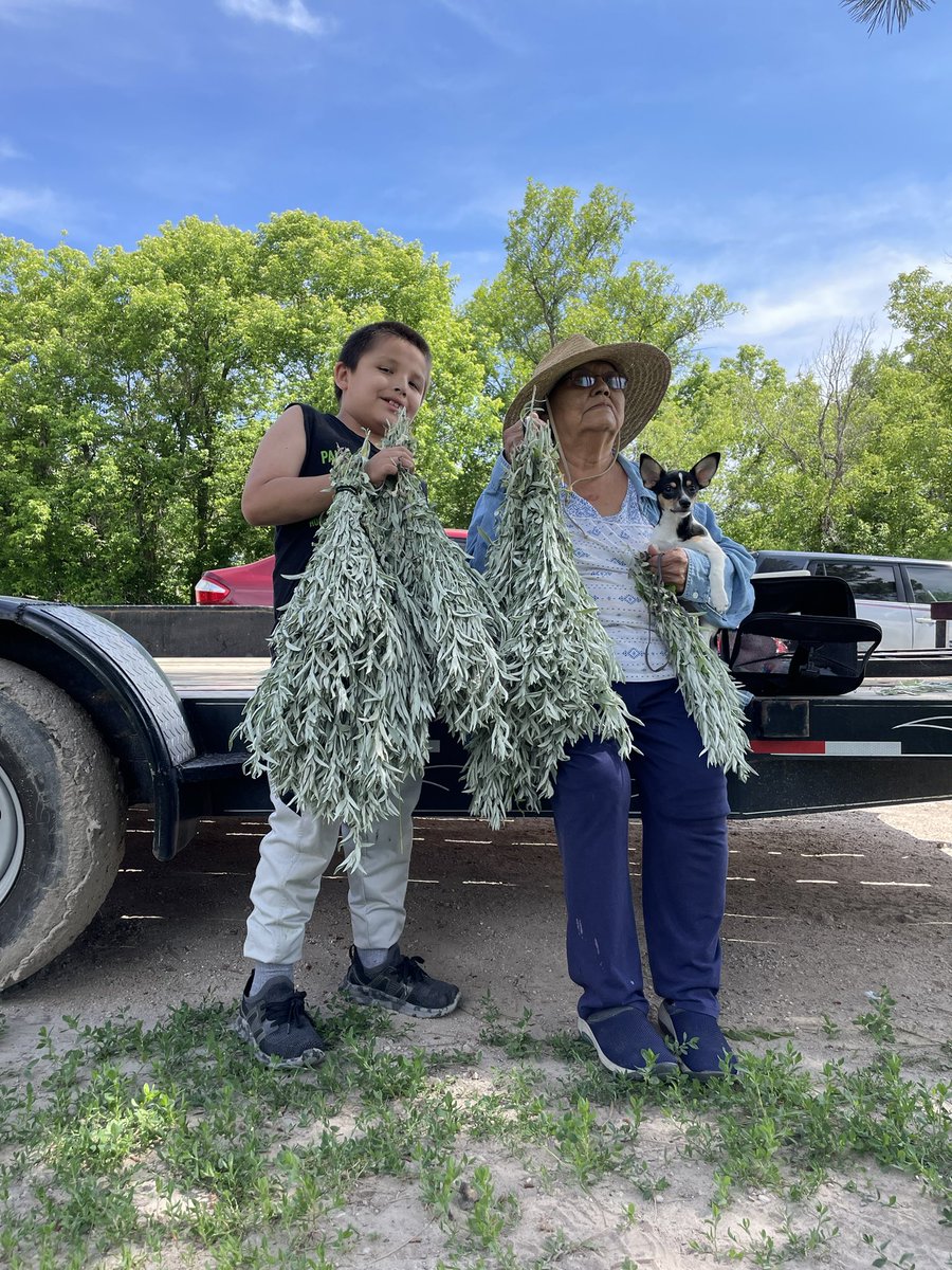 ShyBernie's tweet photo. Sage picking today!! Mama G got her 12 bundles  🥰 https://t.co/X0Nnt9UETs
