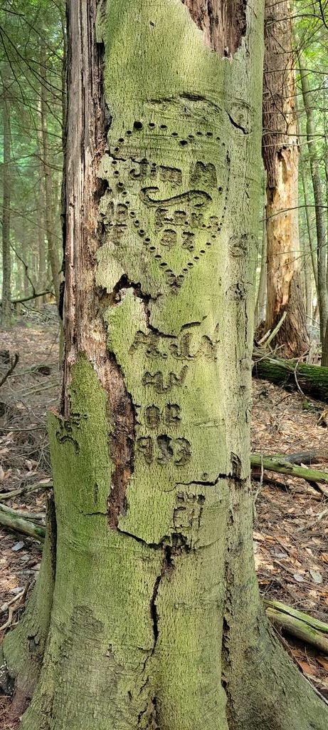 Nothing lasts forever