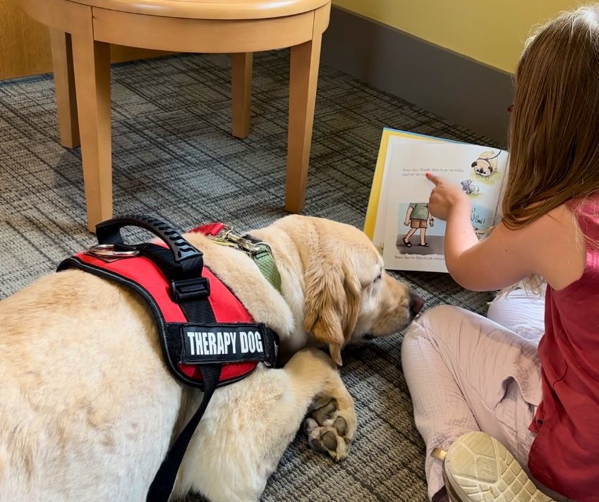 KatelynBotsford's tweet image. Our library brought in a therapy dog and kids could spend ten minutes reading to him. ♥️ #SupportLocalLibraries
