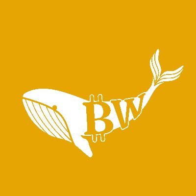 BTC Ordinals have been going parabolic recently.

One of the fastest growing projects in the Ordinals space has been @Bitcoin_Whales_ 

Here is everything you need to know about them (with a surprise at the end!)

Let's dive in! 👇🧵

(1/6)