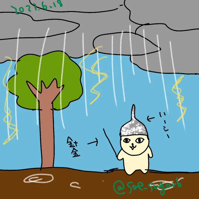 雷がすごい⚡