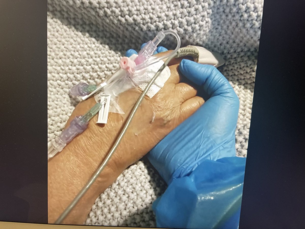 Saleyha Ahsan (@saleyhaahsan) on Twitter photo what were you doing in Dec 2020? I’d love to get a sense of what peoples’ lives were like Dec 2020. This is what Tory HQ were up to and here’s what myself and colleagues were doing and wearing. My dad was dying with covid. Send pics #ToryHQdancingoncovidgraves <a href="/CovidJusticeUK/">Covid-19 Bereaved Families for Justice UK</a> what were you doing in Dec 2020? I’d love to get a sense of what peoples’ lives were like Dec 2020. This is what Tory HQ were up to and here’s what myself and colleagues were doing and wearing. My dad was dying with covid. Send pics #ToryHQdancingoncovidgraves <a href="/CovidJusticeUK/">Covid-19 Bereaved Families for Justice UK</a>