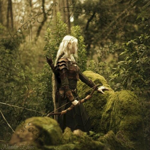 𝕾obrenatural 𝕾ociety RESERVAS ABIERTAS tweet media