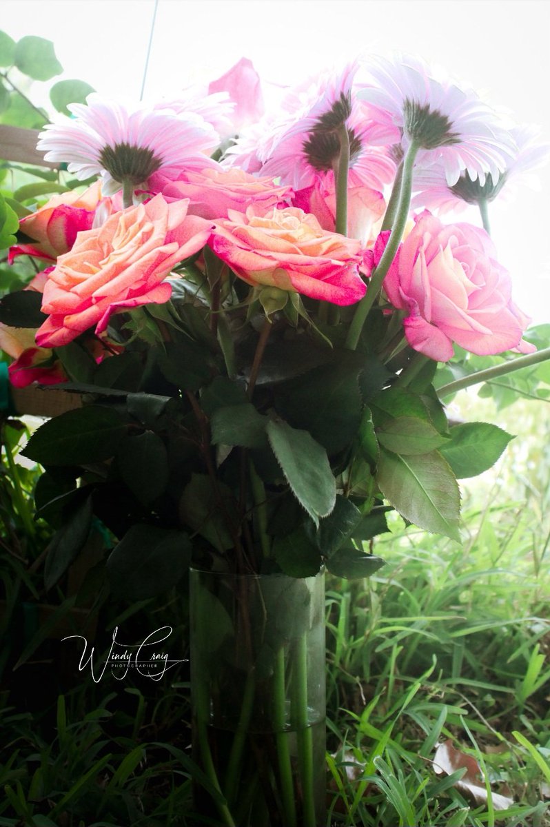 Roses and Daisies

etsy.com/listing/149173…

#Flowers #StillLife #roses #photography #photo #Art #windycraig #GiftIdeas #WallArt #Prints #Nature #Summer #photographer #mastoart #FediGiftShop #AYearForArt #ArtMatters #BuyIntoArt