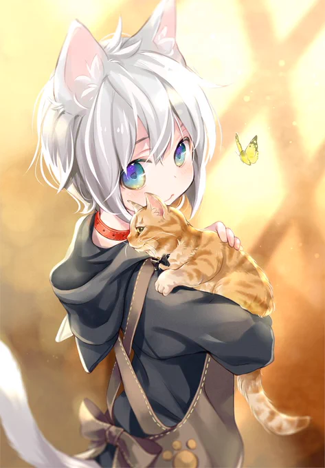 猫の方がご主人さまです