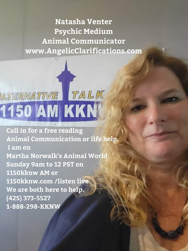 This Sunday, June 18 , 9 am to Noon  I will Talk w your Human or Animal friends on this side or the Other & Spiritual Counseling Mediumship. call in w your questions for either one of us.
Call-in numbers: (425) 373-5527 or 1-888-298-KKNW 
or Email Animal World while we are on-air