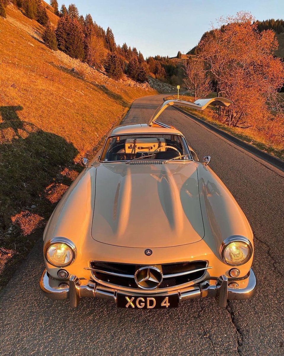 Car Porn tweet media