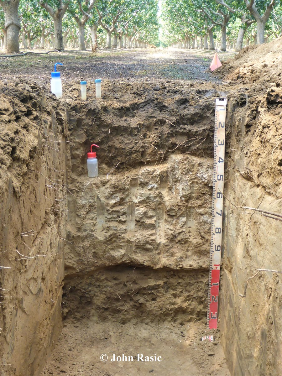 Hardpan
In southern California, hardpan can cause serious soil management problems - lnkd.in/gS_m2a3W