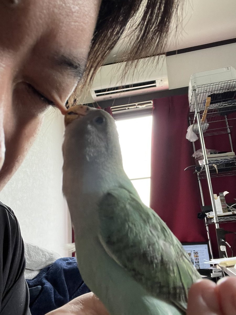 いたいいたいたいたい