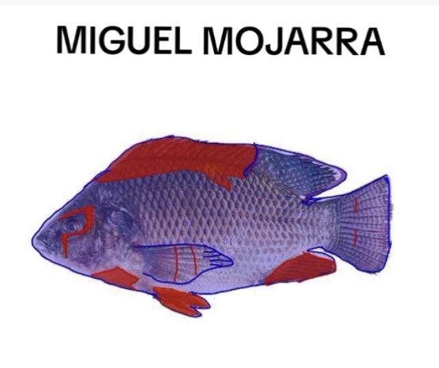 @wifeclipse My friends and i call him “Miguel Mojarra”