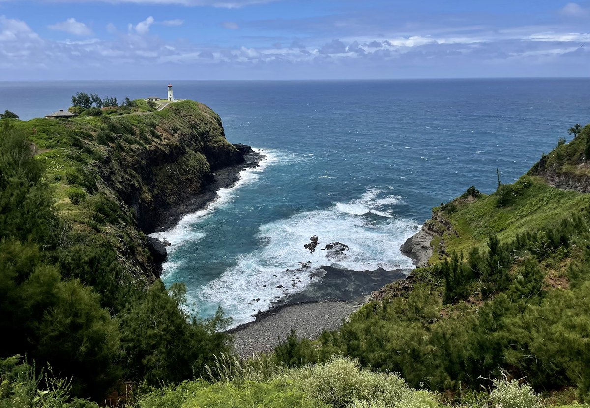 Aurelian Giles tweet media