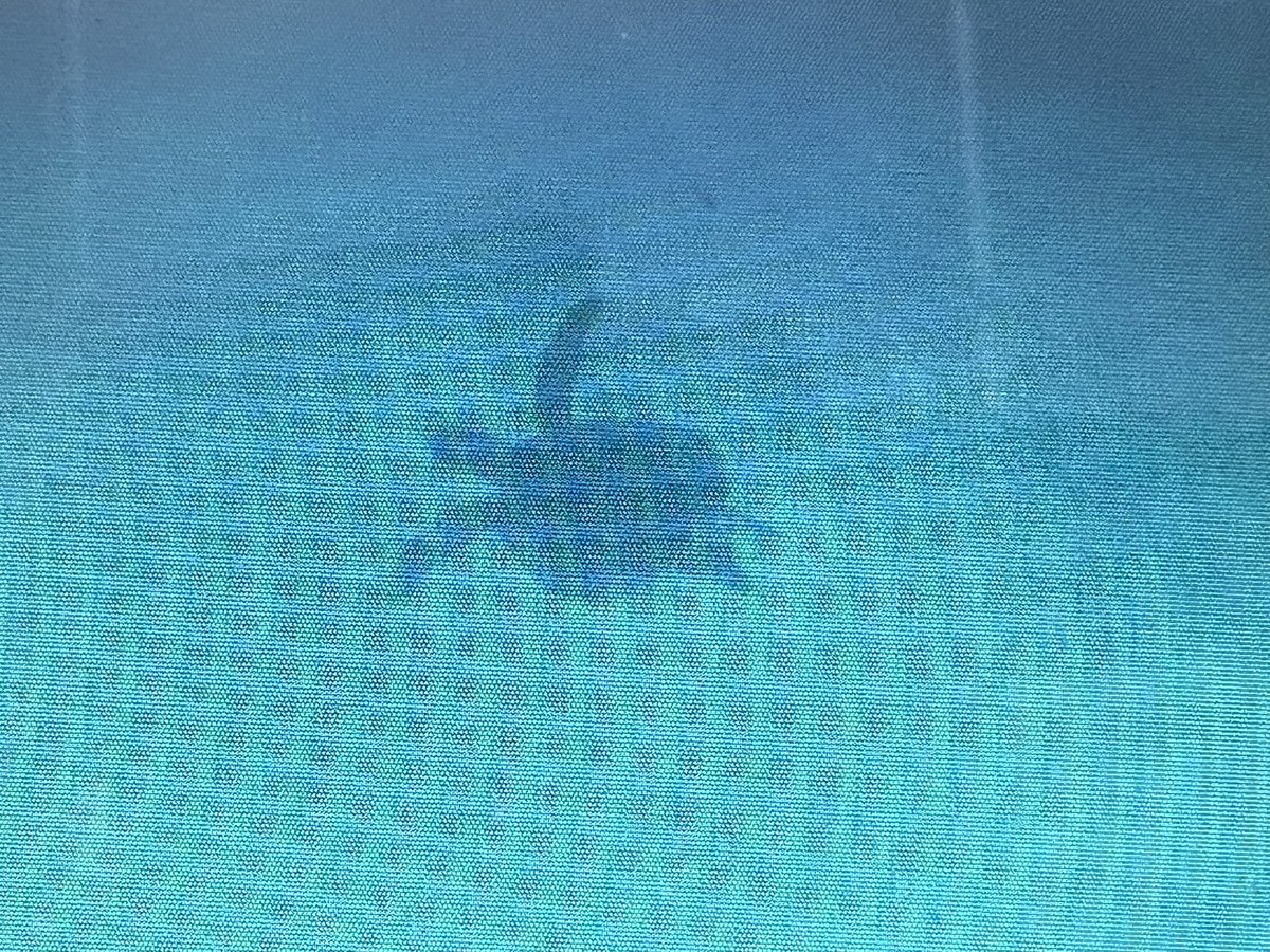 Happy #WorldSeaTurtleDay (I got the first from a co-travelers go pro in #Galapagos, the 2nd myself at the #GreatBarrierReef)