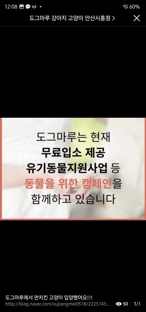 1.돈주고 사왔으면서 왜 입양이라고 함?
2.무료입소는 뭐임??
3.동물들을 위해 뭘 했음??