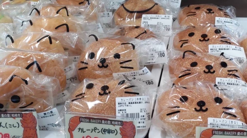 uwattkc's tweet photo. 柏崎港観光交流センター夕海では本日6／18日曜日『ゆうみパンマルシェ』を開催中(๑˃̵ᴗ˂̵)
上越市、柏崎市の人気ベーカリーさんの選りすぐりのパンを販売中ですヽ(^o^)
夕海は17時までの営業です♪
まだまだたくさんの美味しいパンがありますよー
(((o(*ﾟ▽ﾟ*)o))) https://t.co/E1zcHBOJZc
