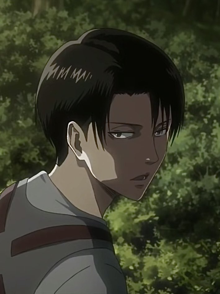 levi archives tweet media