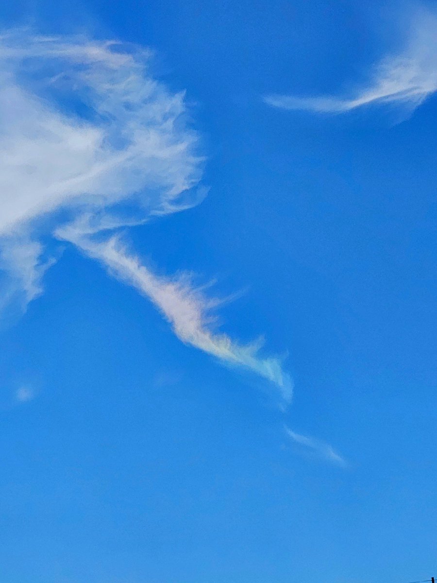 KSL5TV's tweet photo. RAINBOW CLOUDS: People in Utah County are seeing "rainbow clouds," also known as a circumhorizontal arc. Instead of water creating the colored effect, ice crystals act as the prism and create the colors. 

📷: Danelle Cox
Curtis and Kylen DeYoung
Rachael Hale
Andrea Withers https://t.co/6tQ0Azi1yi