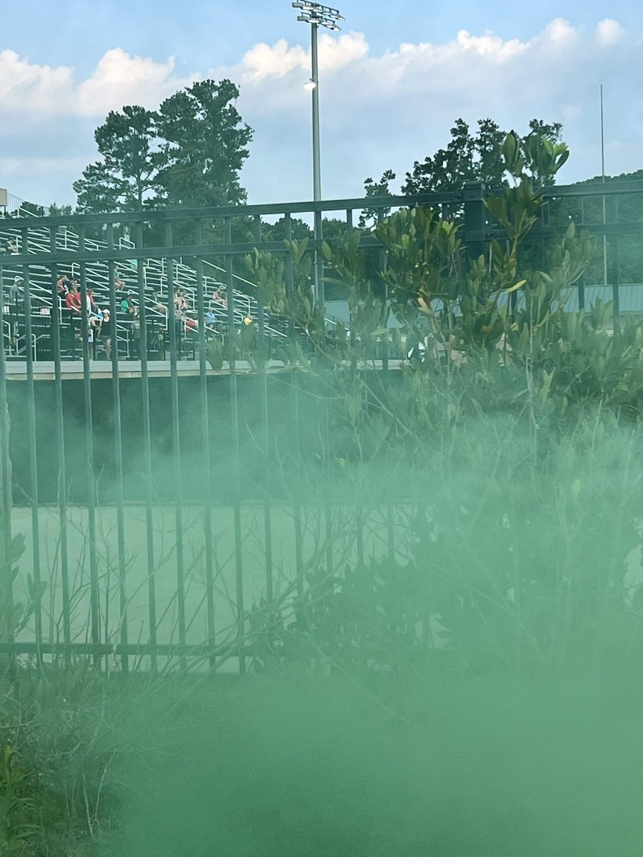 FirstCity2015's tweet image. Green haze anyone???💚🤍