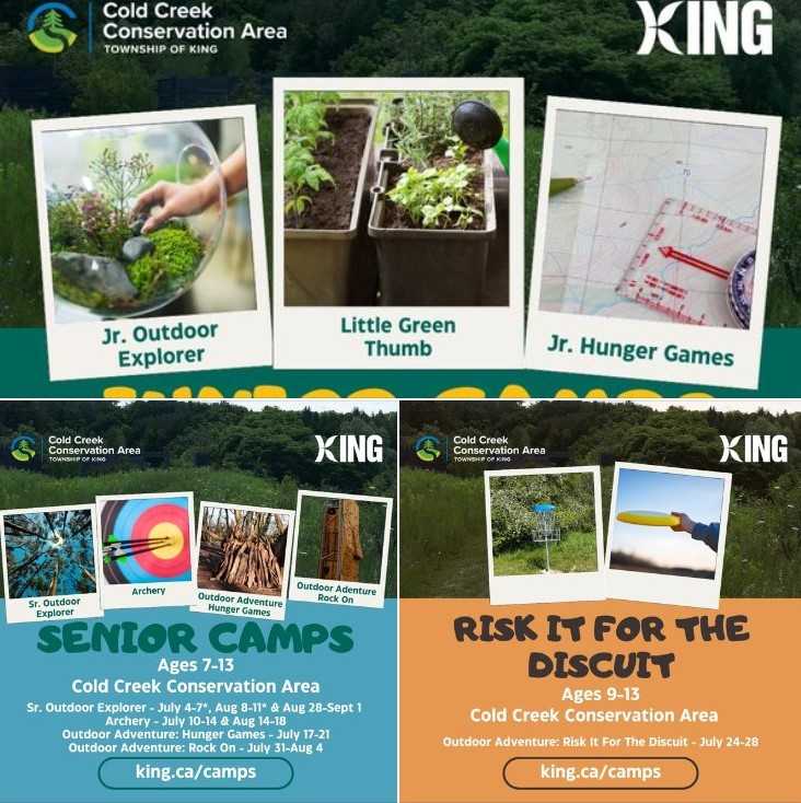 Interested in getting outdoors this summer?  Cold Creek Conservation Area offers outdoor education-based camps. Register today by visiting king.ca/camps.