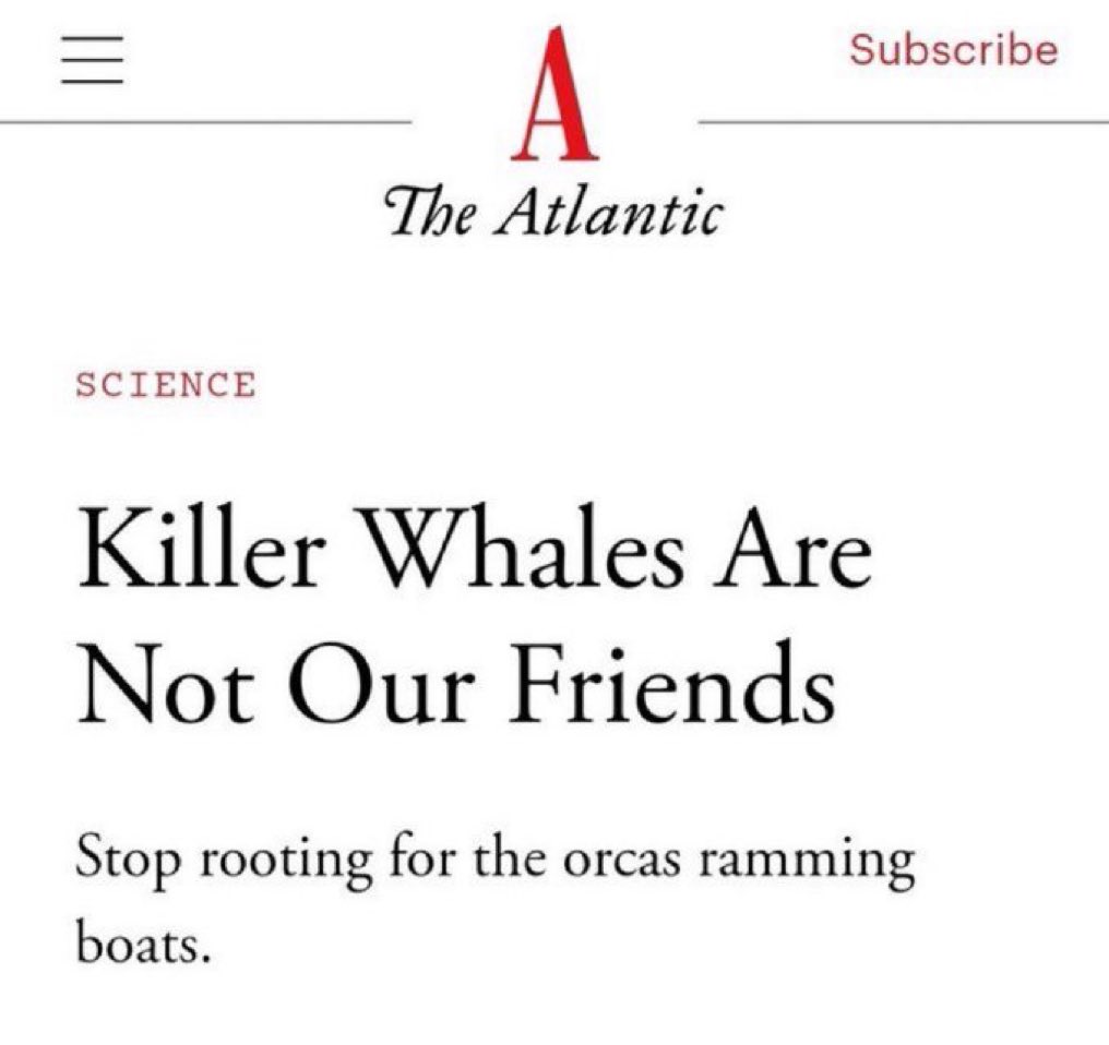 PallaviGunalan's tweet photo. did a yacht write this https://t.co/VPkobBEtaD