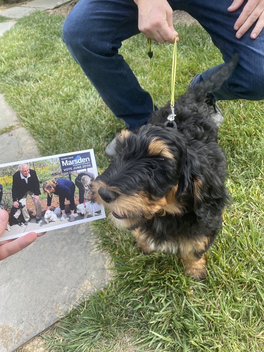 Dave Marsden tweet media