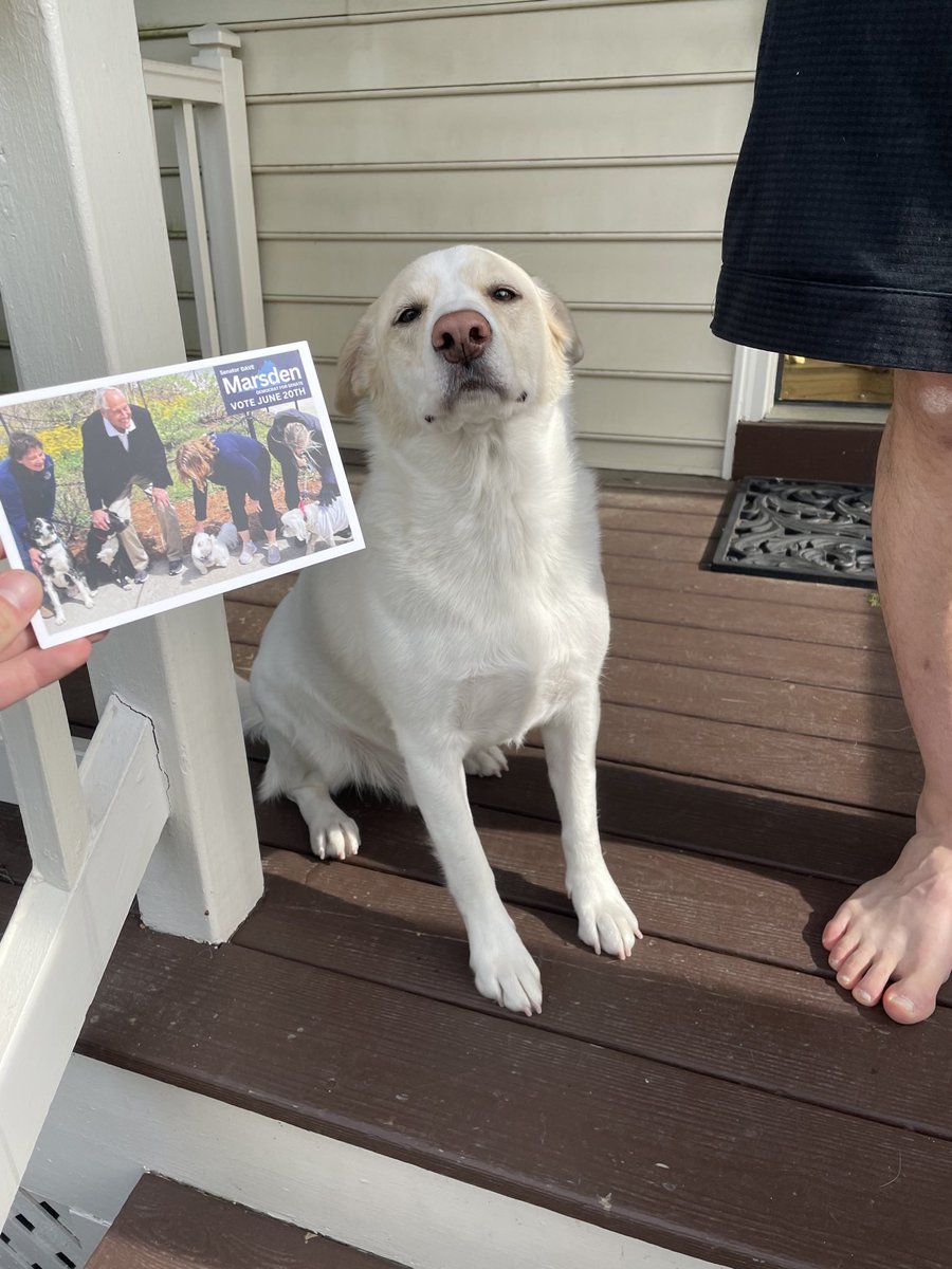 Dave Marsden tweet media